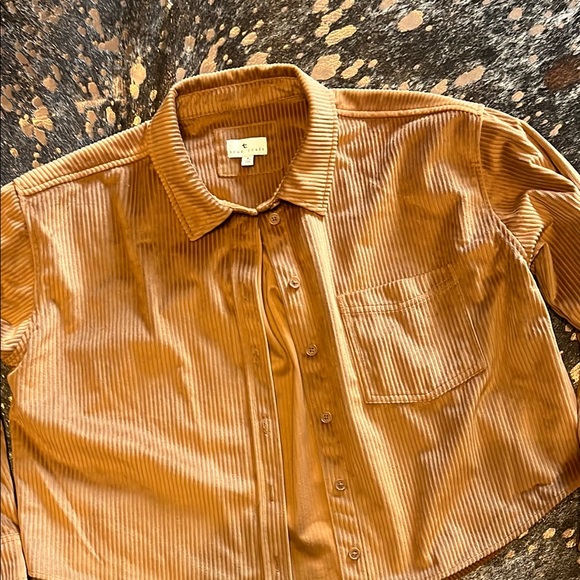 Brown Corduroy Button-Up Shirt - Picture 3 of 3